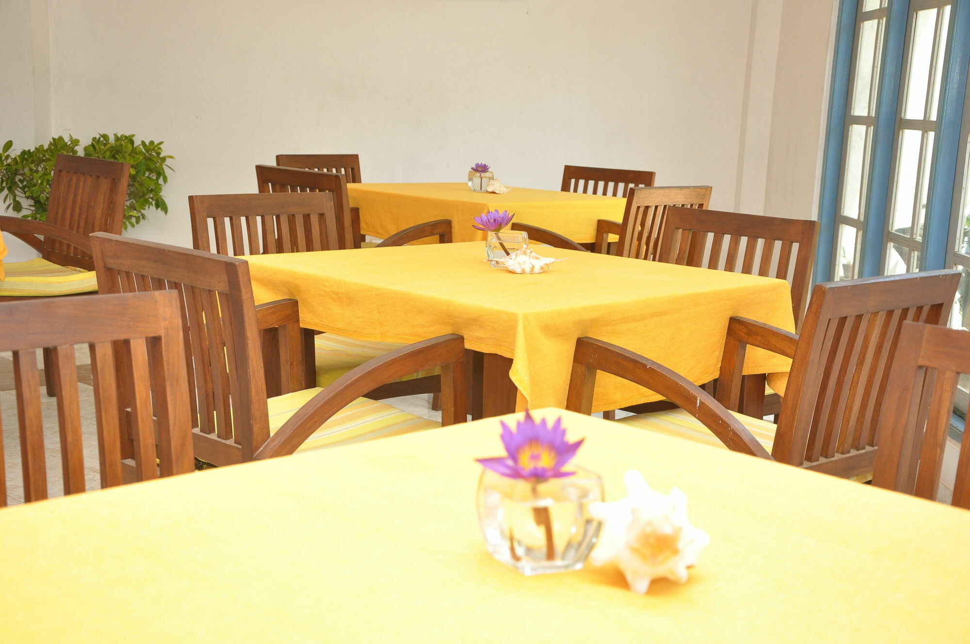 Hotel Mountbaylk Dehiwala-Mount Lavinia Esterno foto